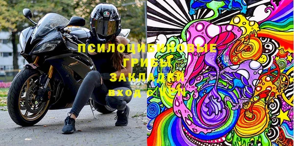 спиды Киреевск