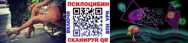 Купить  Волгореченск  Псилоцибиновые грибы Psilocybe 
